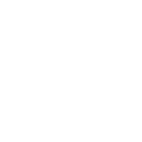 Red Rocks Bus - Party Bus Rentals